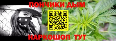 индика Гусев