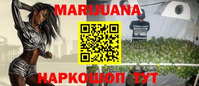 индика Гусев