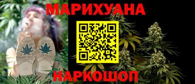 индика Гусев