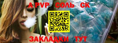индика Гусев