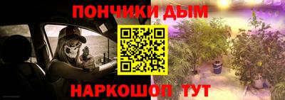 индика Гусев
