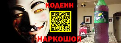 индика Гусев